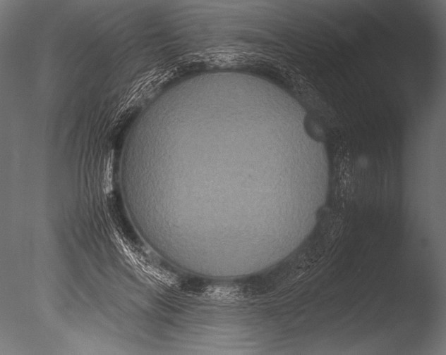 X0000085050694200703261138