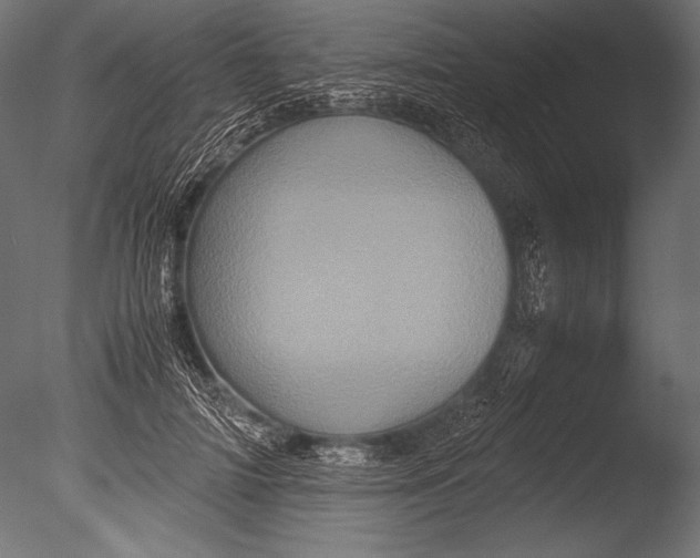 X0000085050698200703261138