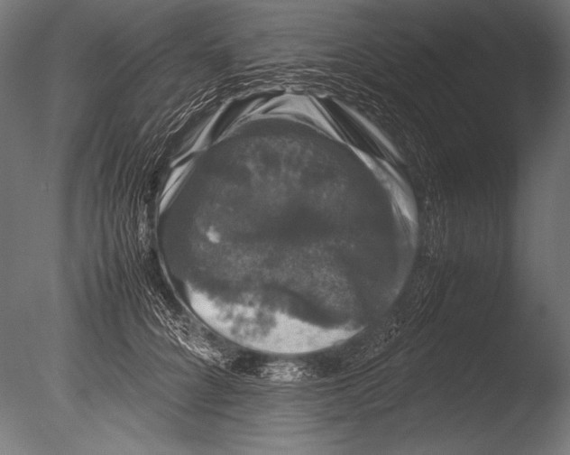 X0000085050704200703261138