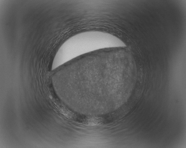 X0000085050707200703261138