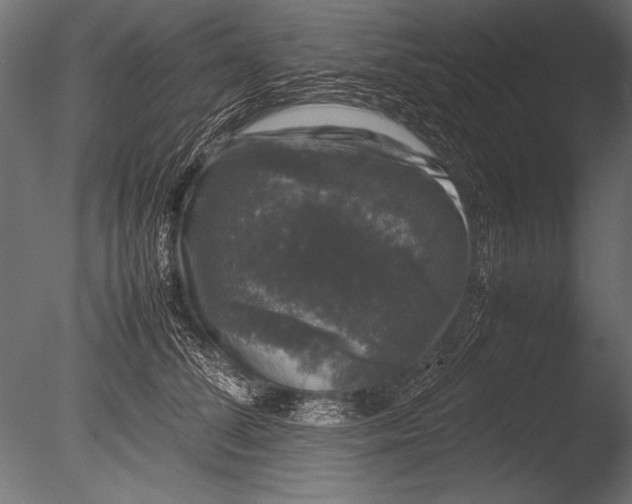 X0000085050708200703261138