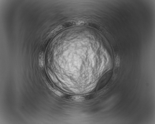 X0000085050719200703261138