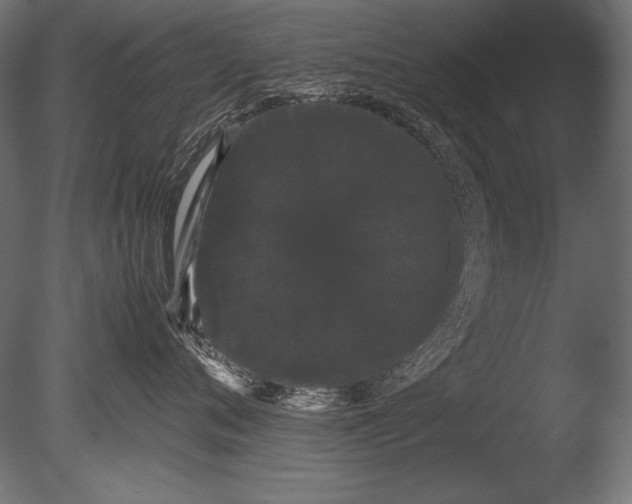 X0000085050720200703261137