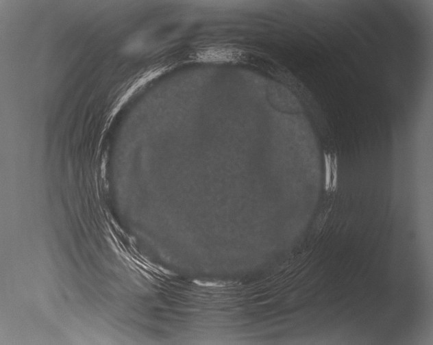 X0000085050723200703261137