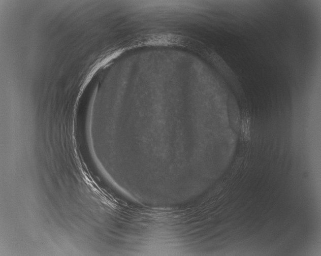 X0000085050724200703261137