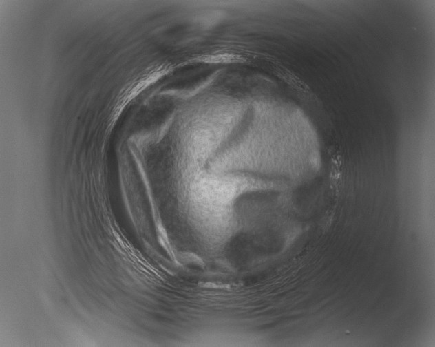 X0000085050727200703261137