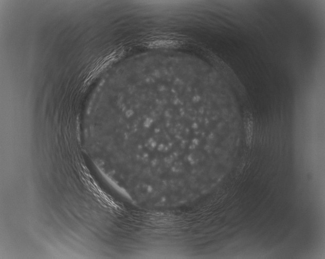 X0000085050729200703261137