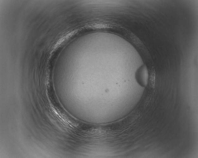 X0000085050732200703261137