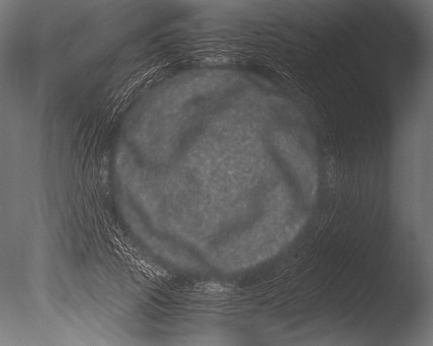 X0000085050737200703261137