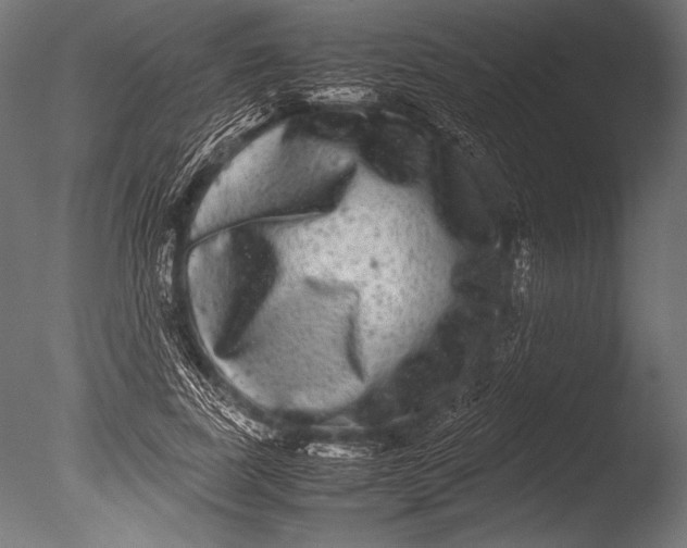 X0000085050739200703261137