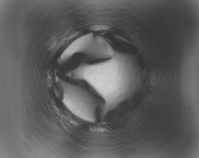X0000085050743200703261137