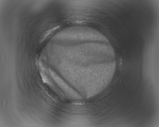 X0000085050746200703261137