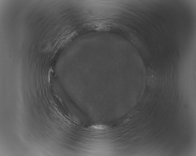 X0000085050748200703261137