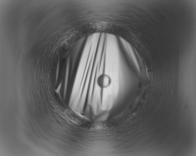 X0000085050750200703261137