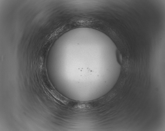 X0000085050752200703261137