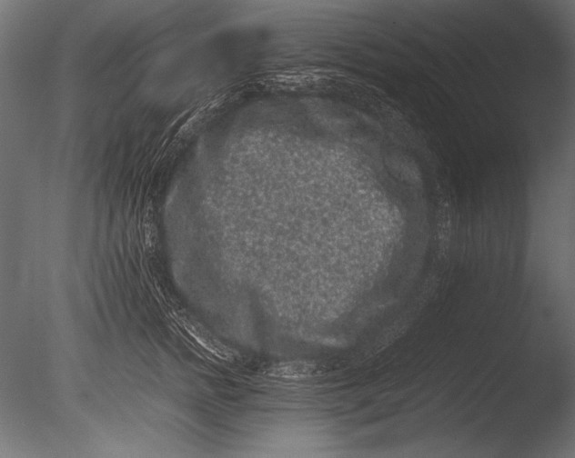 X0000085050758200703261137