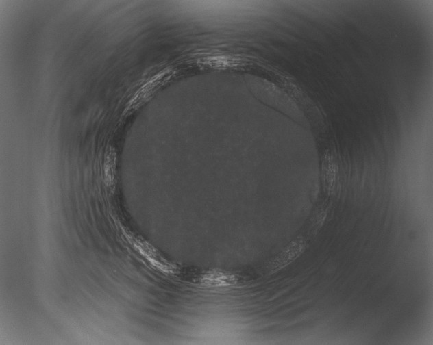 X0000085050760200703261137