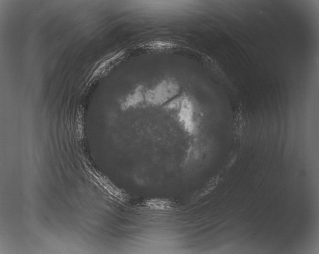 X0000085050762200703261137
