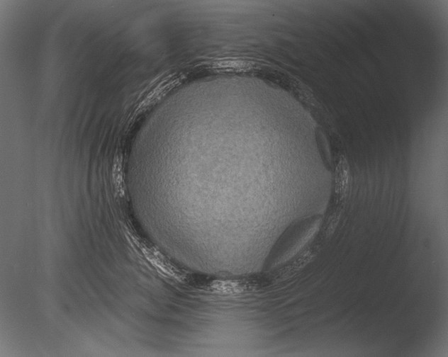 X0000085050764200703261137