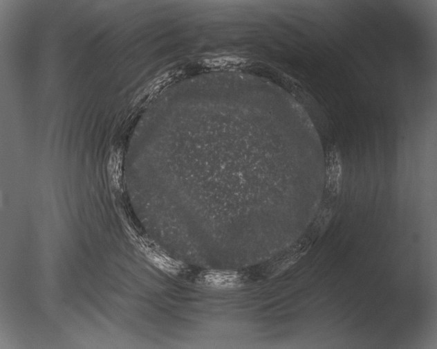X0000085050767200703261137
