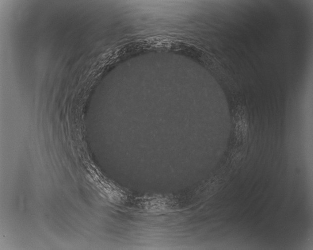 X0000085050769200703261137
