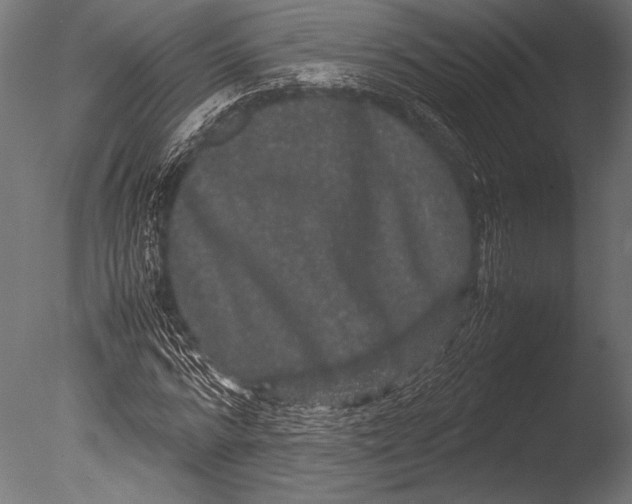 X0000085050776200703261137