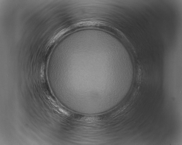 X0000085050778200703261136