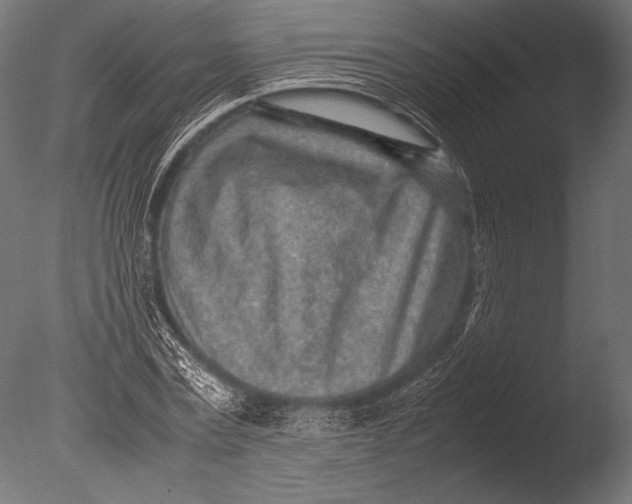X0000085050779200703261136