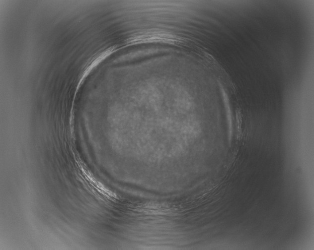 X0000085050780200703261136