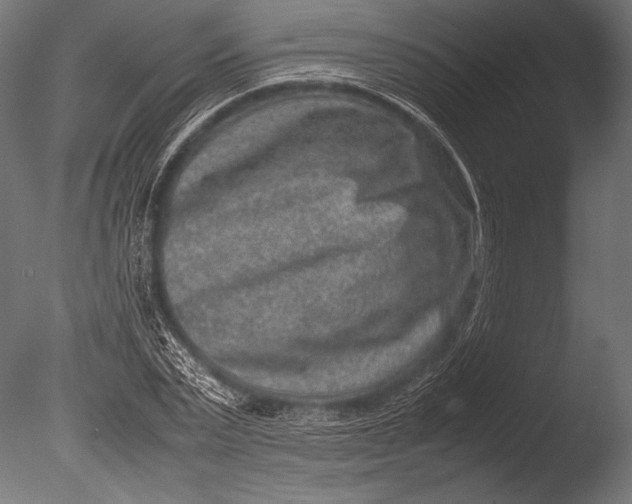 X0000085050783200703261136