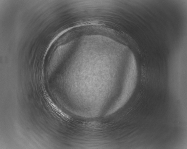 X0000085050784200703261136
