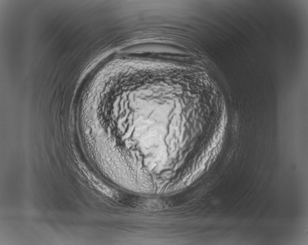 X0000085050787200703261136