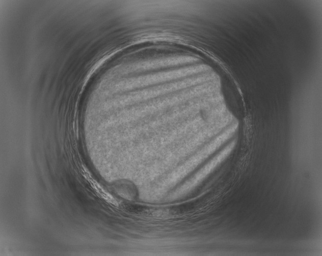 X0000085050791200703261136
