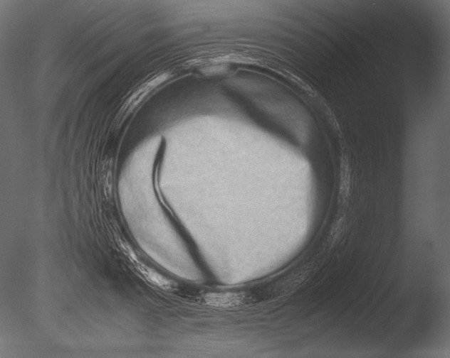X0000085050793200703261136