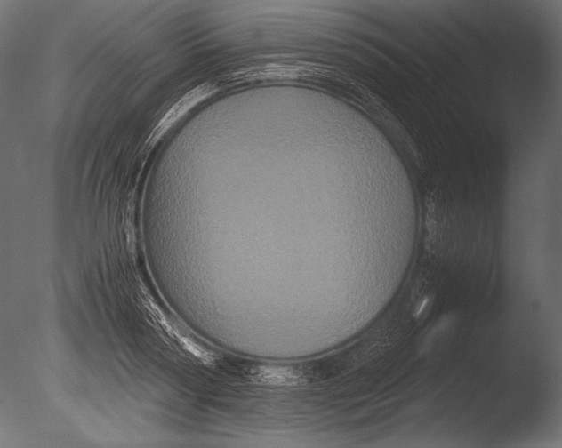 X0000085050794200703261136