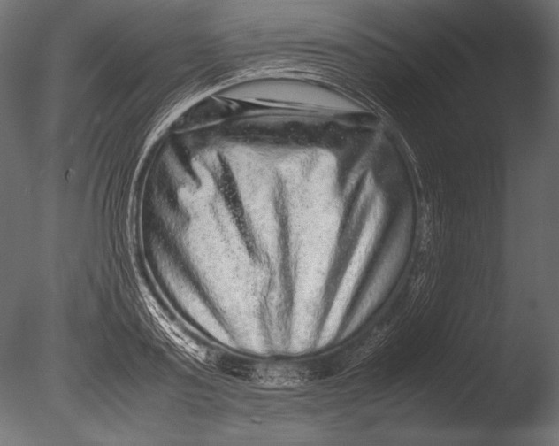 X0000085050795200703261136