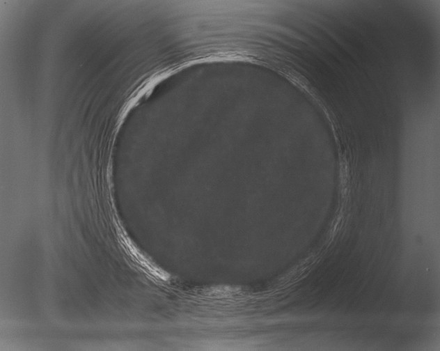 X0000085050797200703261136