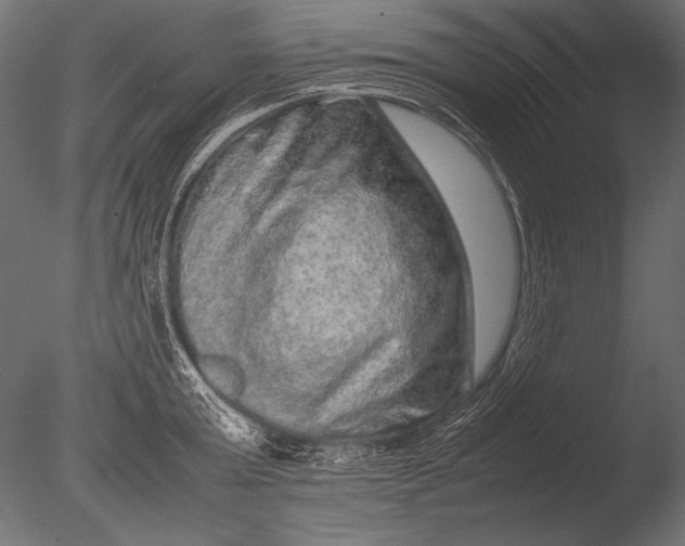 X0000085050803200703261136