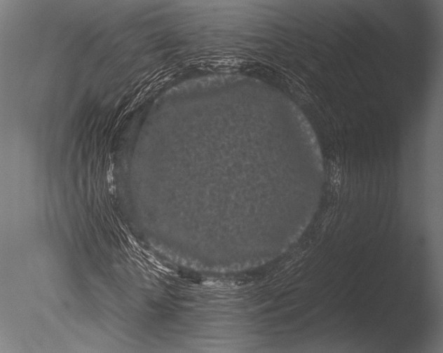X0000085050818200703261135