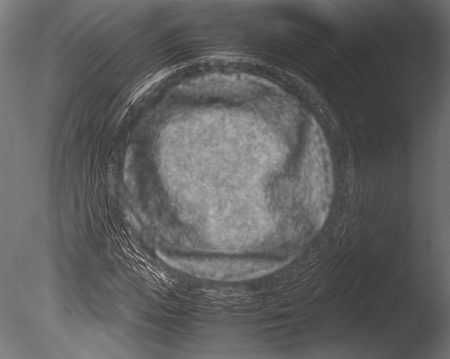 X0000085050823200703261135