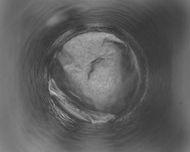X0000085050825200703261135