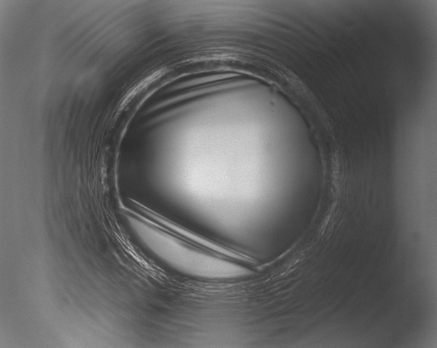X0000085050826200703261135