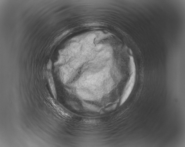 X0000085050833200703261135
