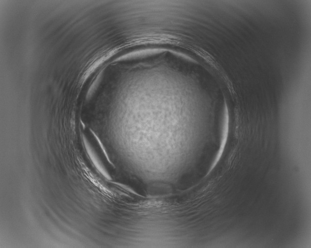 X0000085050834200703261135