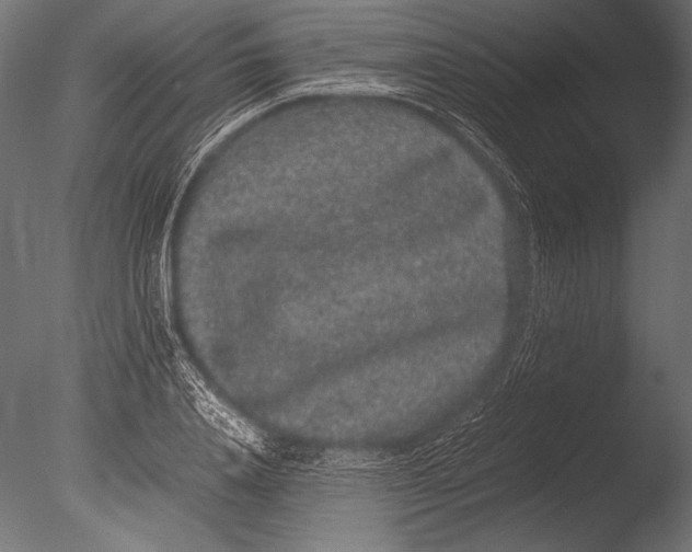 X0000085050840200703261135