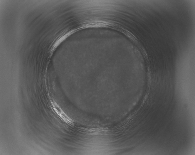 X0000085050842200703261135