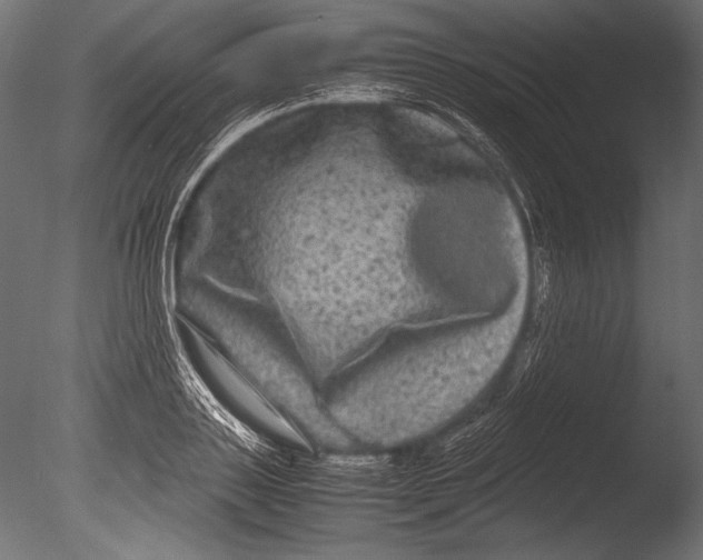 X0000085050843200703261135