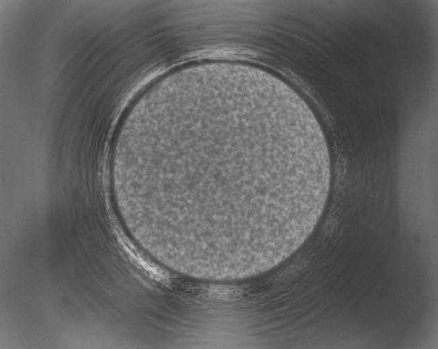 X0000085050848200703261136