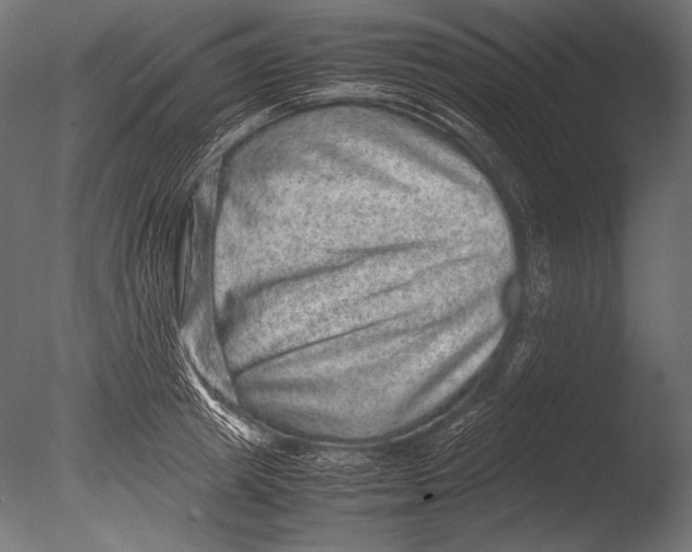 X0000085050849200703261136