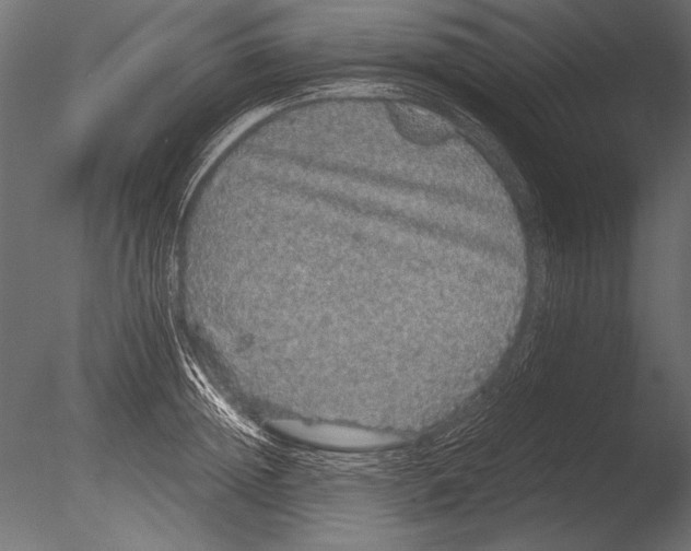 X0000085050852200703261136